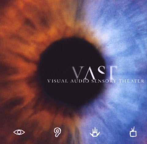 V.A.S.T. on Vinyl ( 5 left, have damaged covers, vinyl is good)